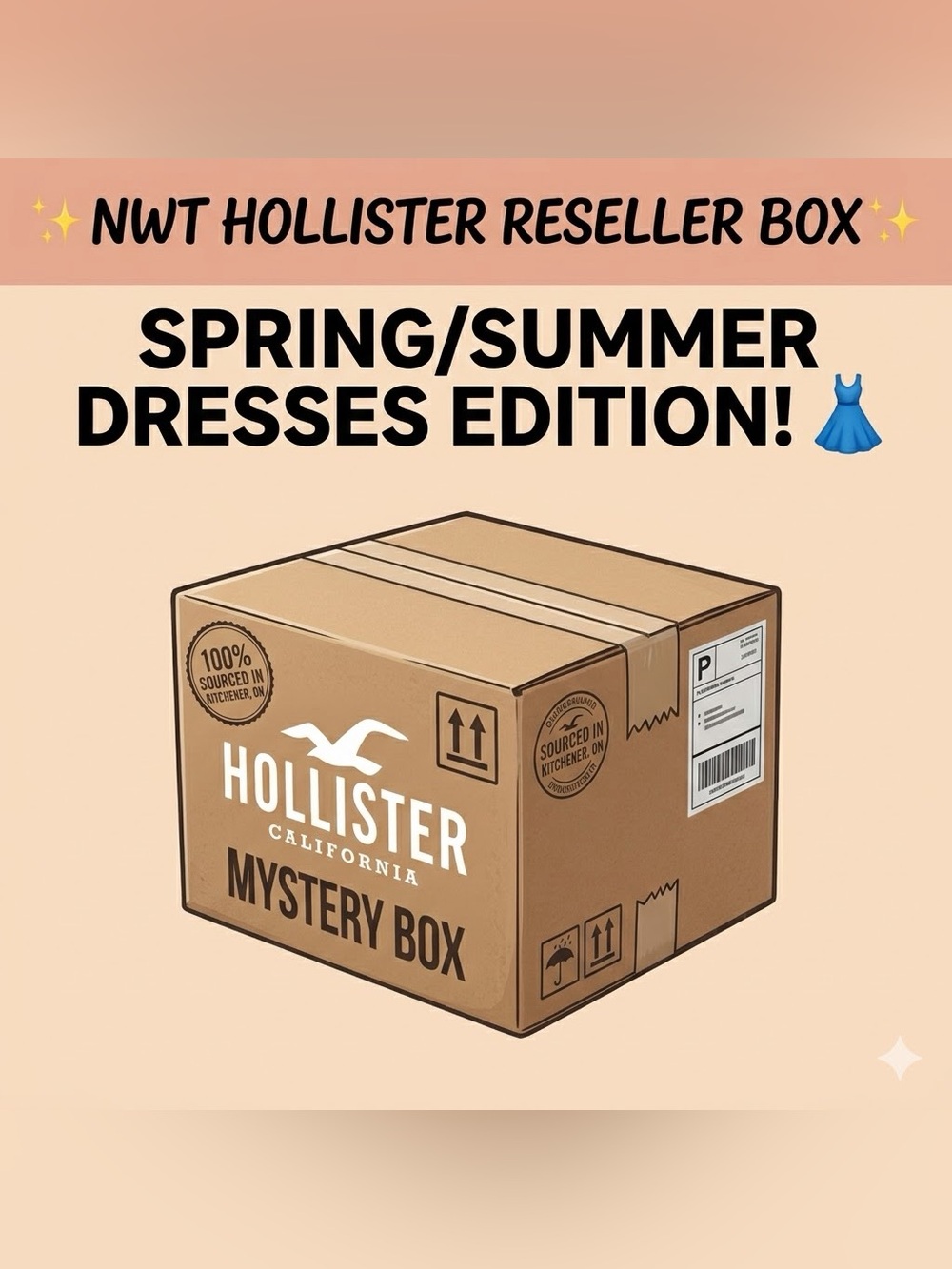 NWT $300+ Hollister Reseller Box